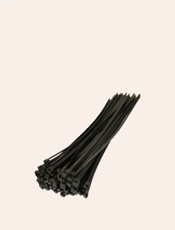 Untitled design (59)